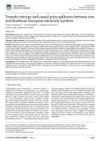 Transfer entropy and causal price spillovers between core and Southeast European electricity markets